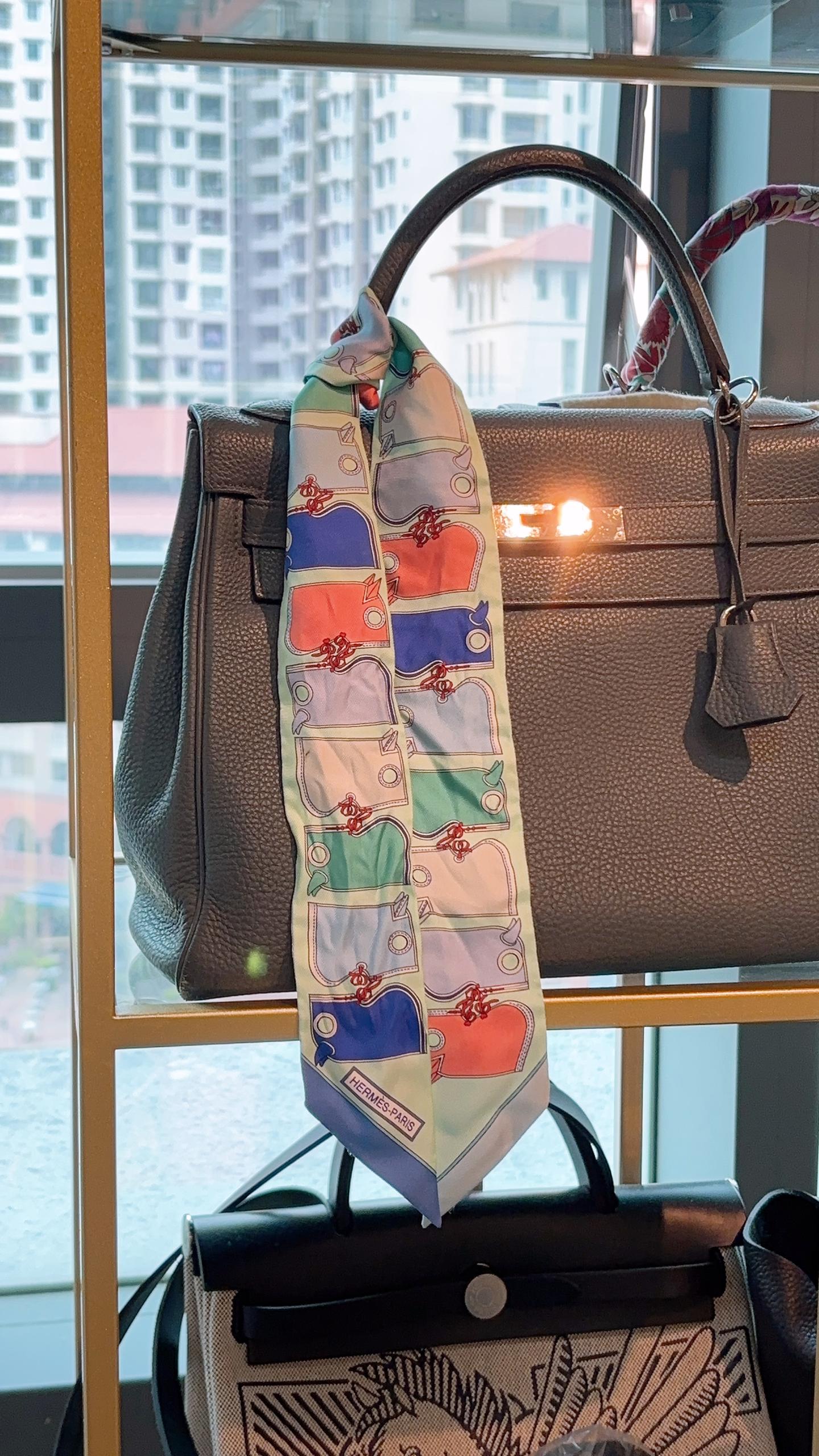 Hermes Blue Camails Twilly