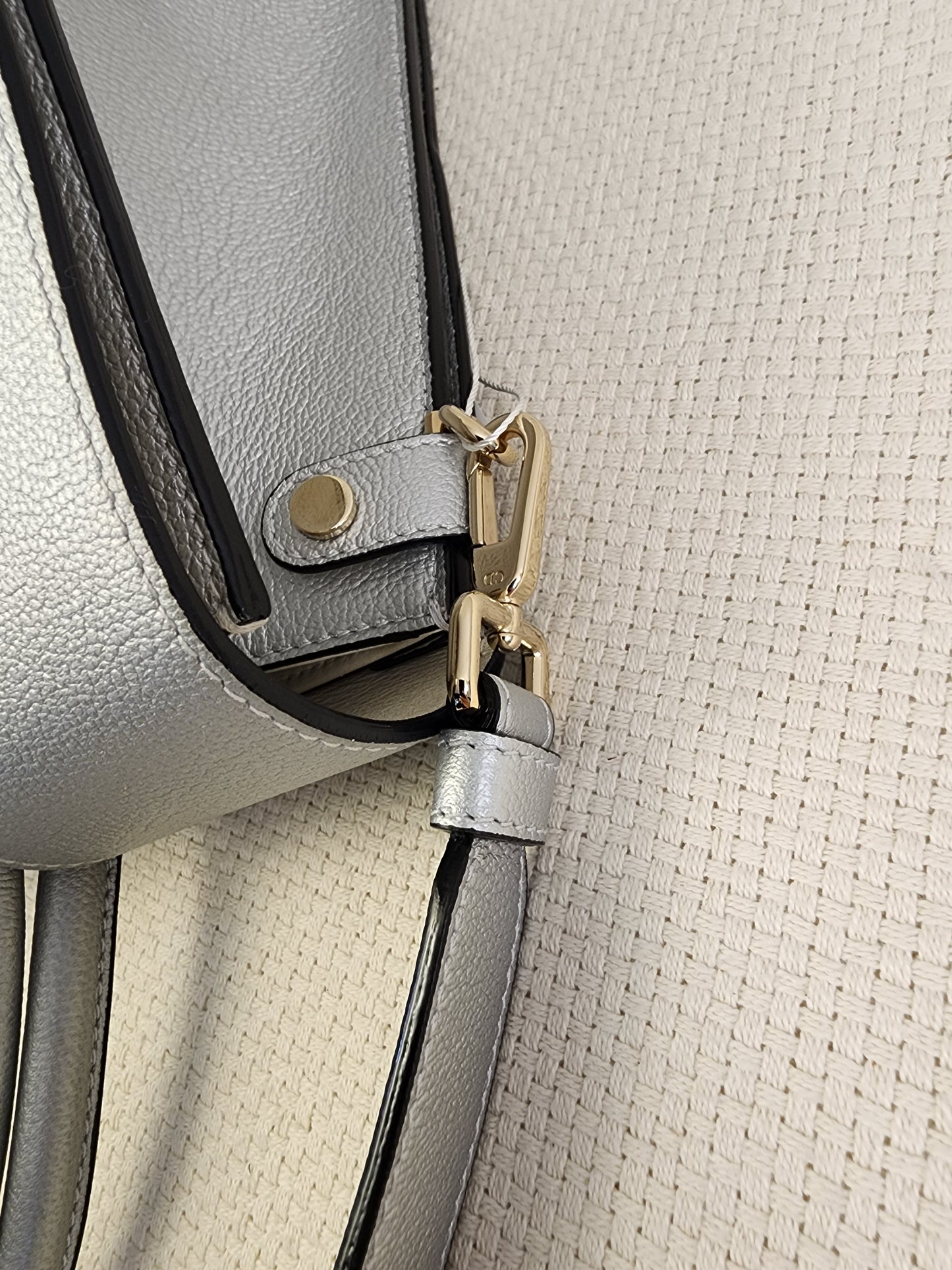 Dior Metallic Silver Calfskin Medium Diorever Tote (SHW)