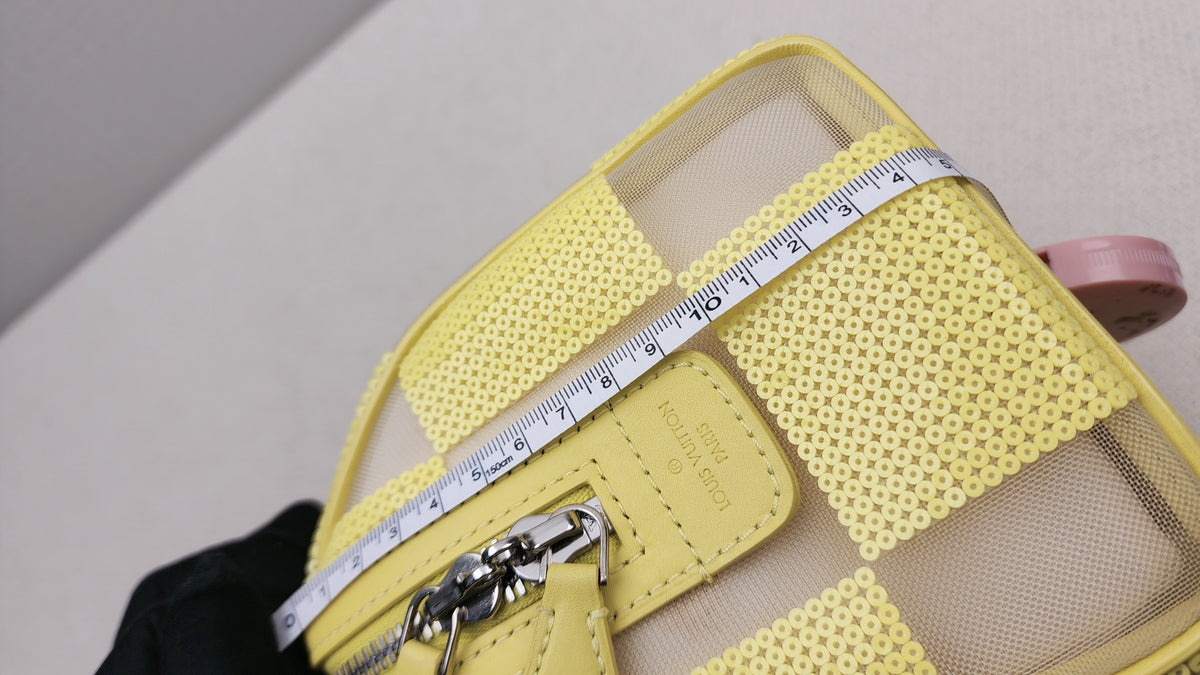 LV Damier Optic Mesh Speedy Cube