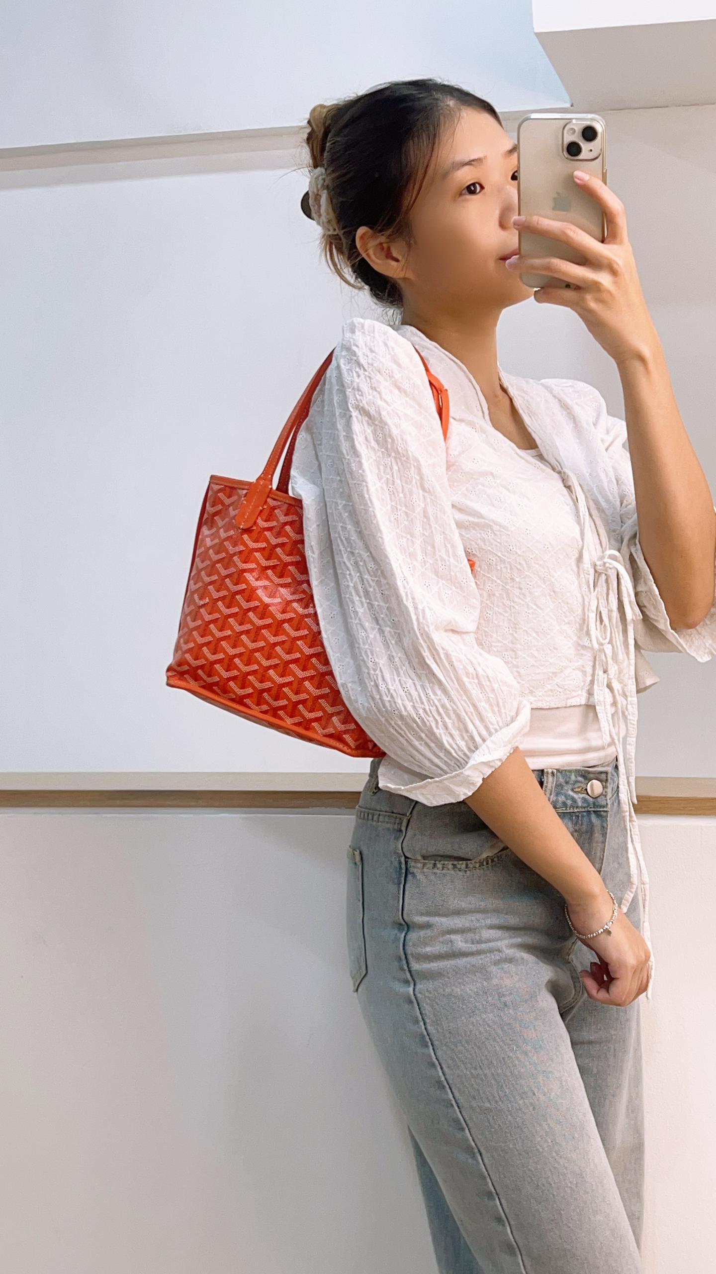 Goyard Mini Anjou in Orange