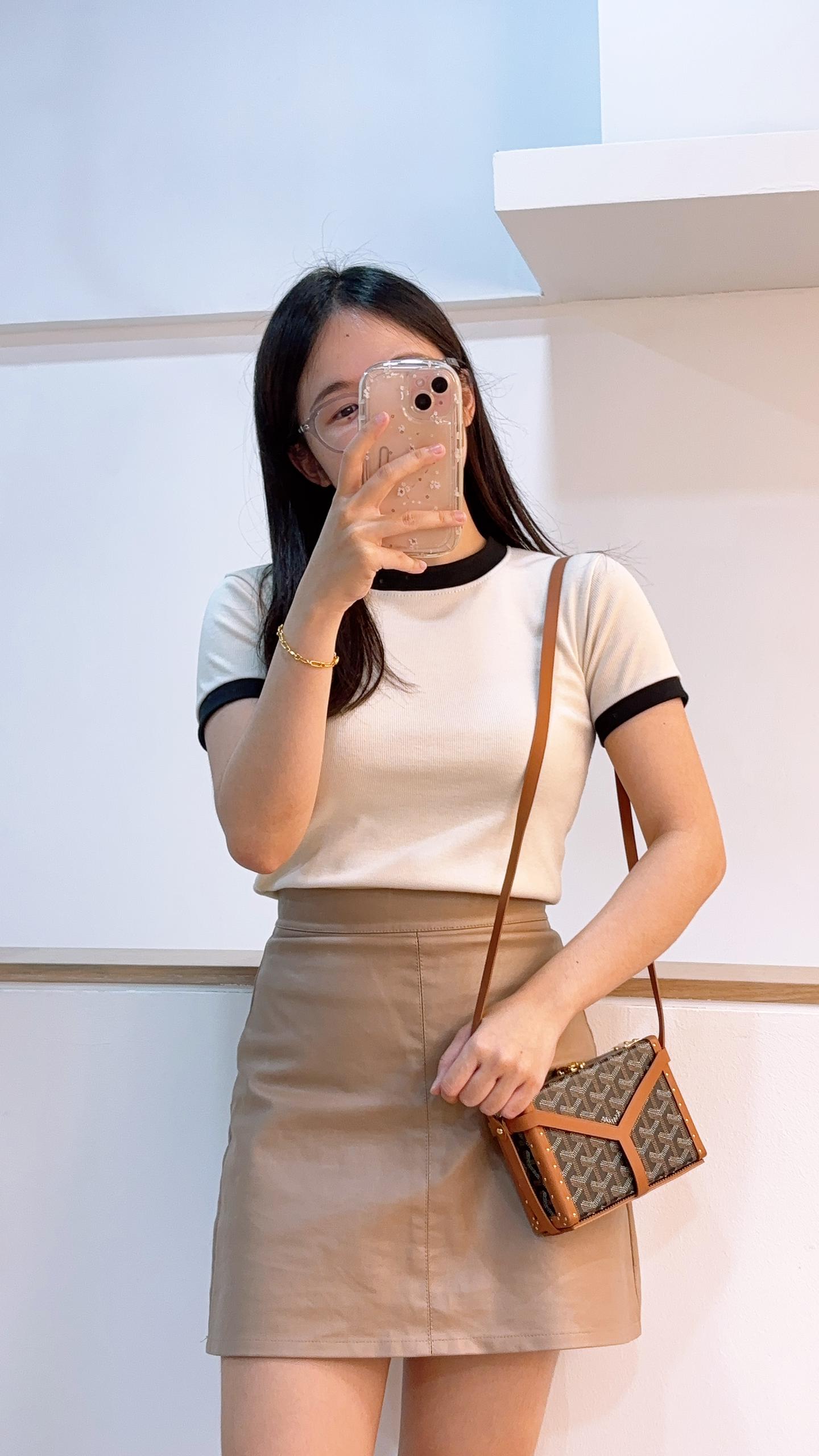 Goyard Black x Tan Minaudiere Trunk Bag