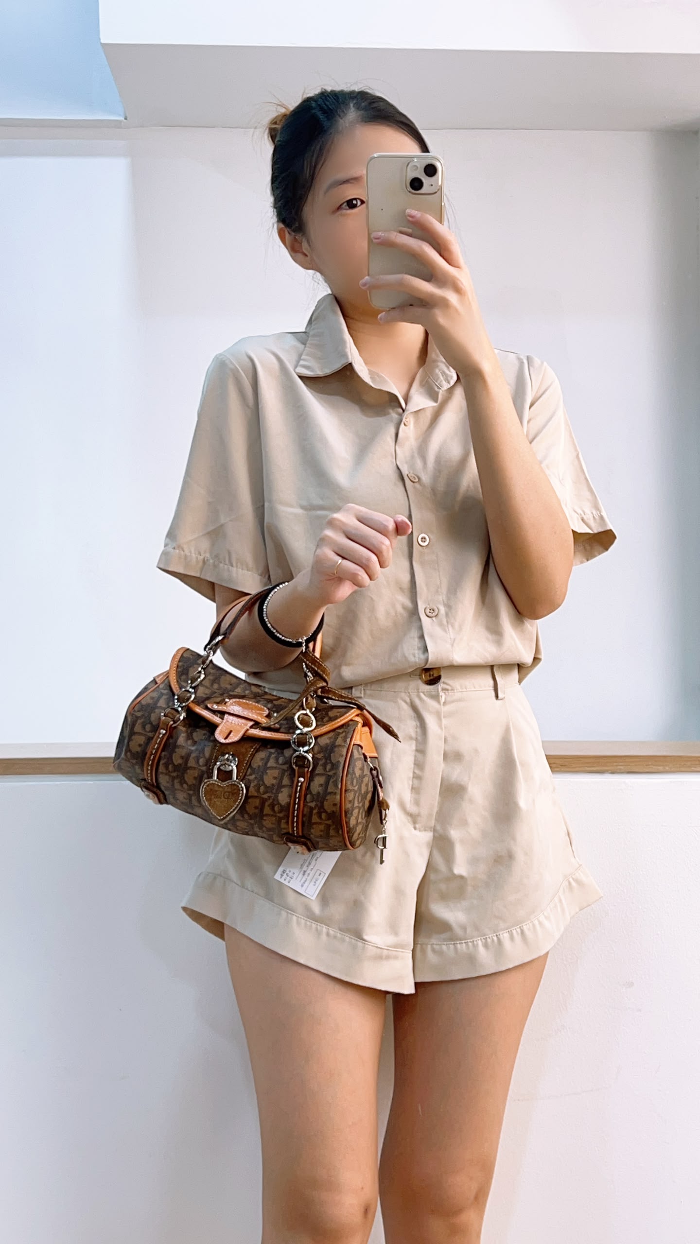 Dior Brown Trotter Vintage Romantigue Bag