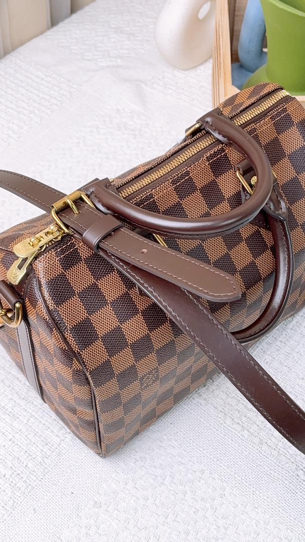Louis Vuitton Damier Ebene Speedy 25 Bandouliere