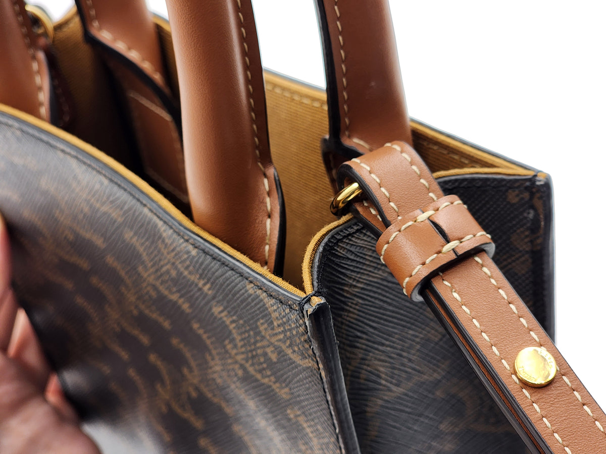 Celine Triomphe Mini Vertical Cabas Tote