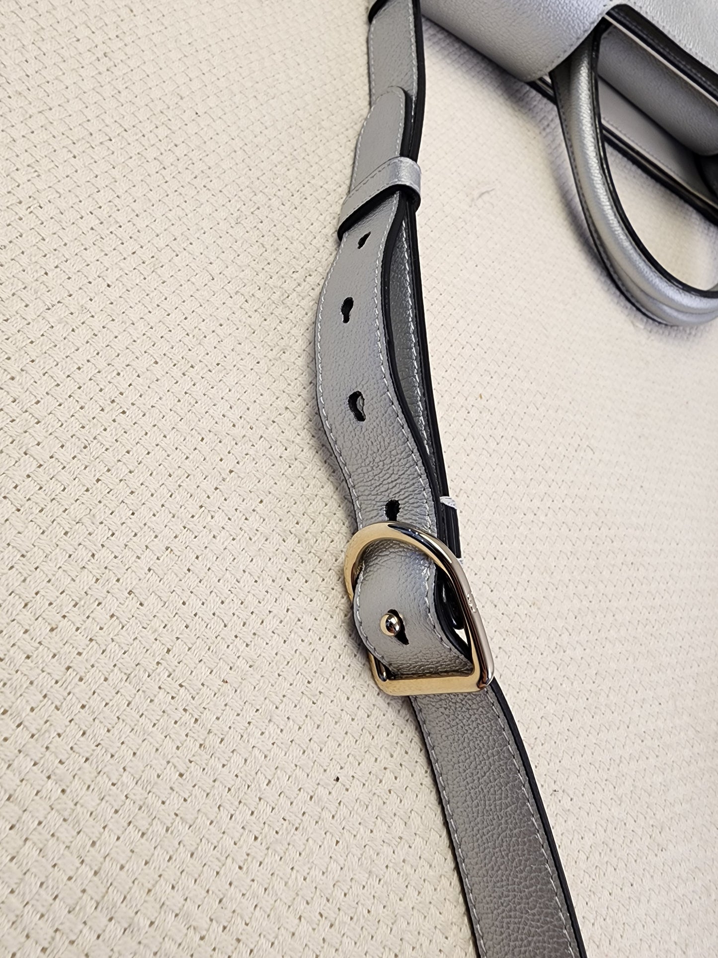 Dior Metallic Silver Calfskin Medium Diorever Tote (SHW)