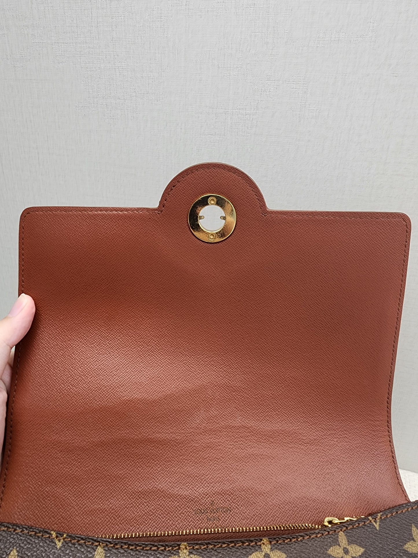 LV Monogram Raspail Shoulder Bag