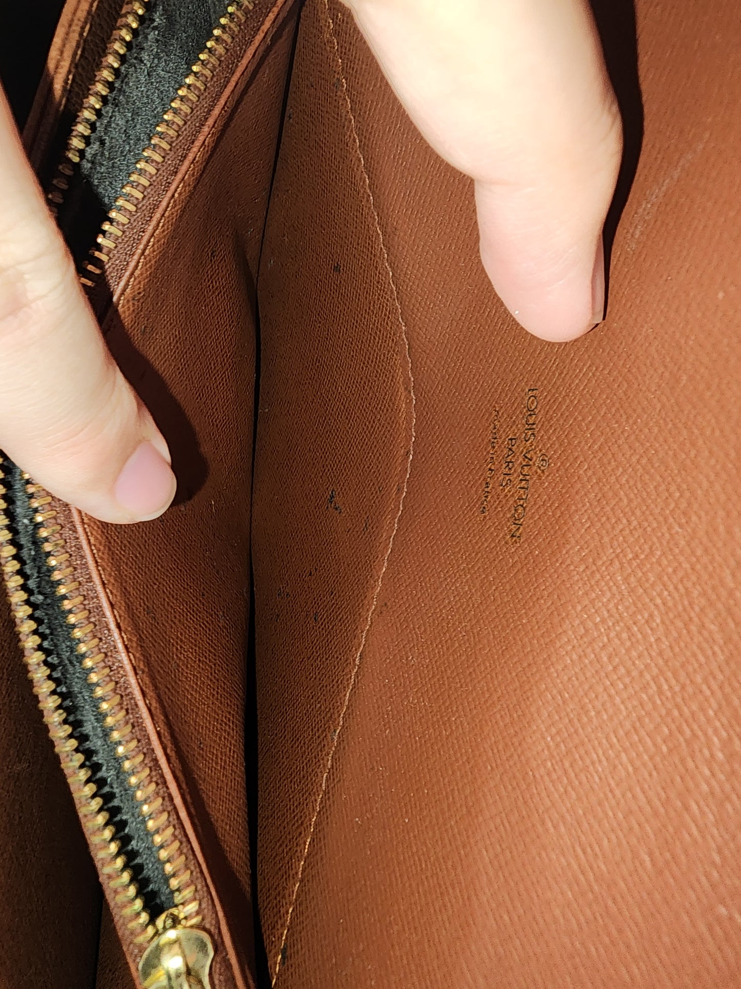 LV Monogram Raspail Shoulder Bag