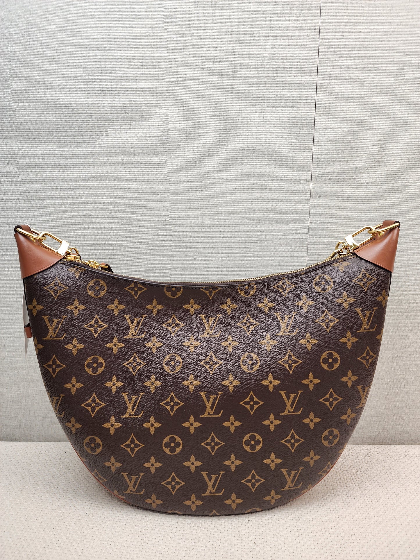 LV Monogram Loop Bag