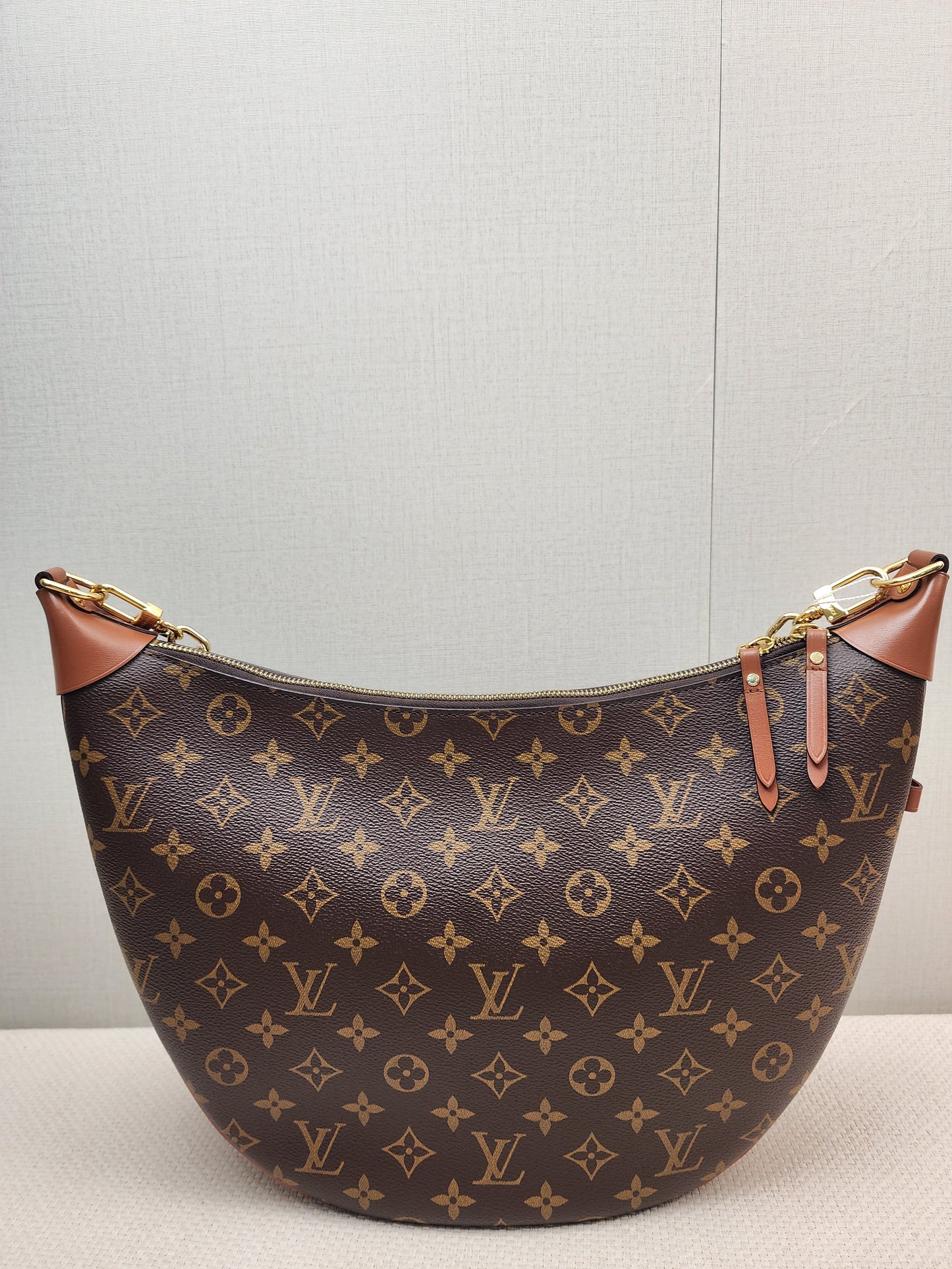 LV Monogram Loop Bag