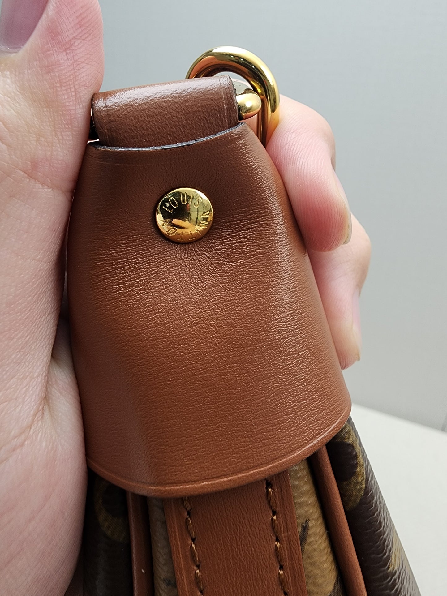 LV Monogram Loop Bag