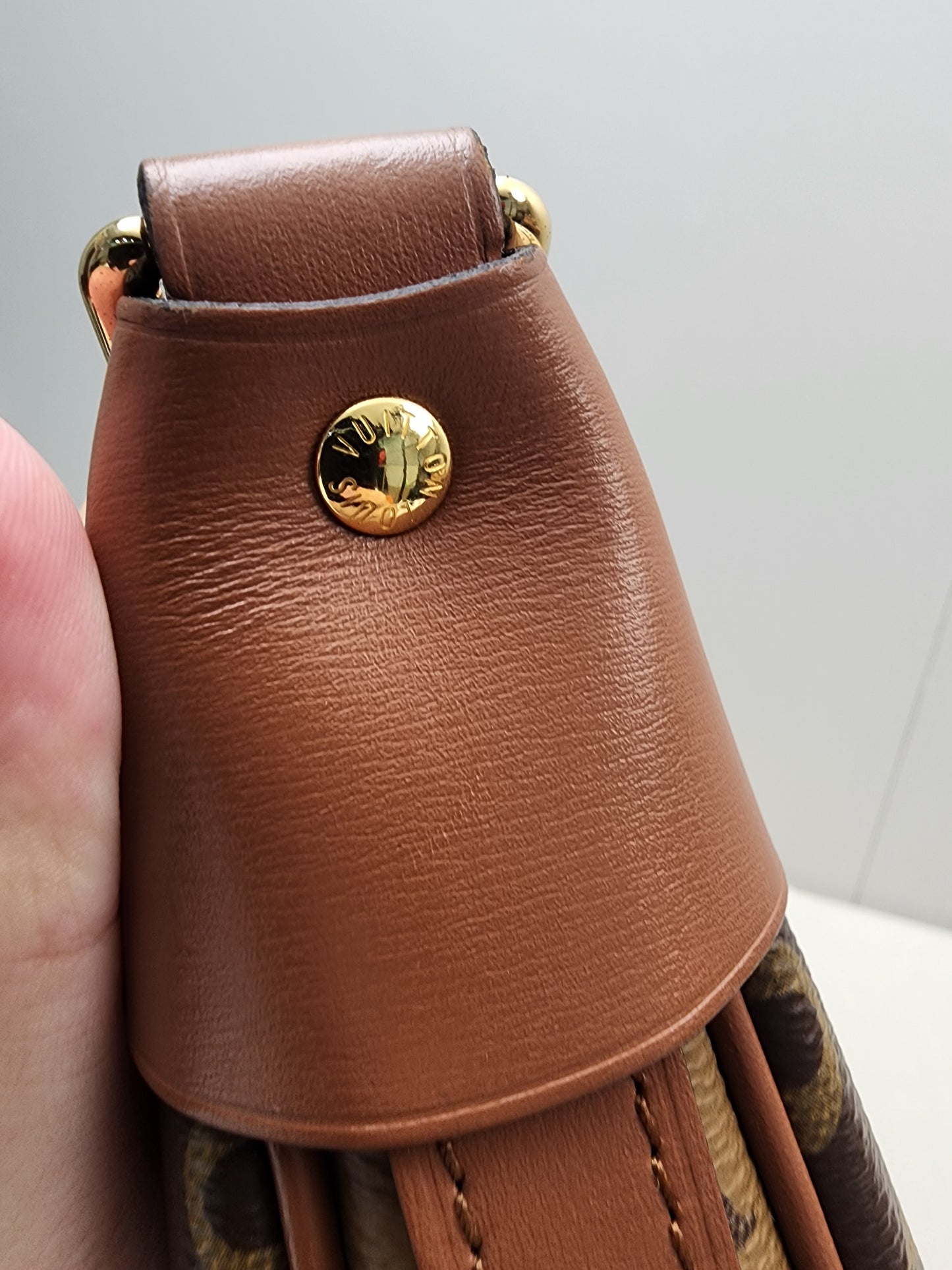 LV Monogram Loop Bag