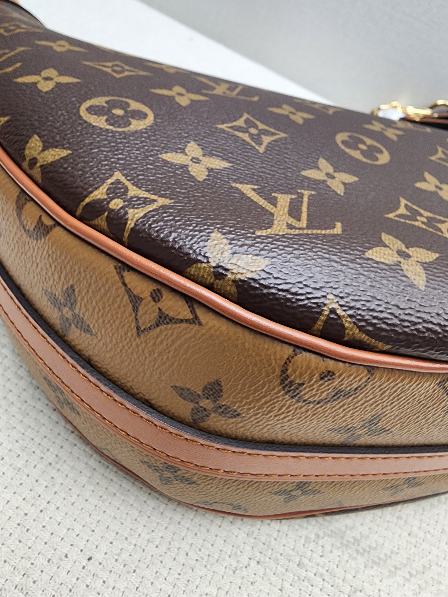 LV Monogram Loop Bag