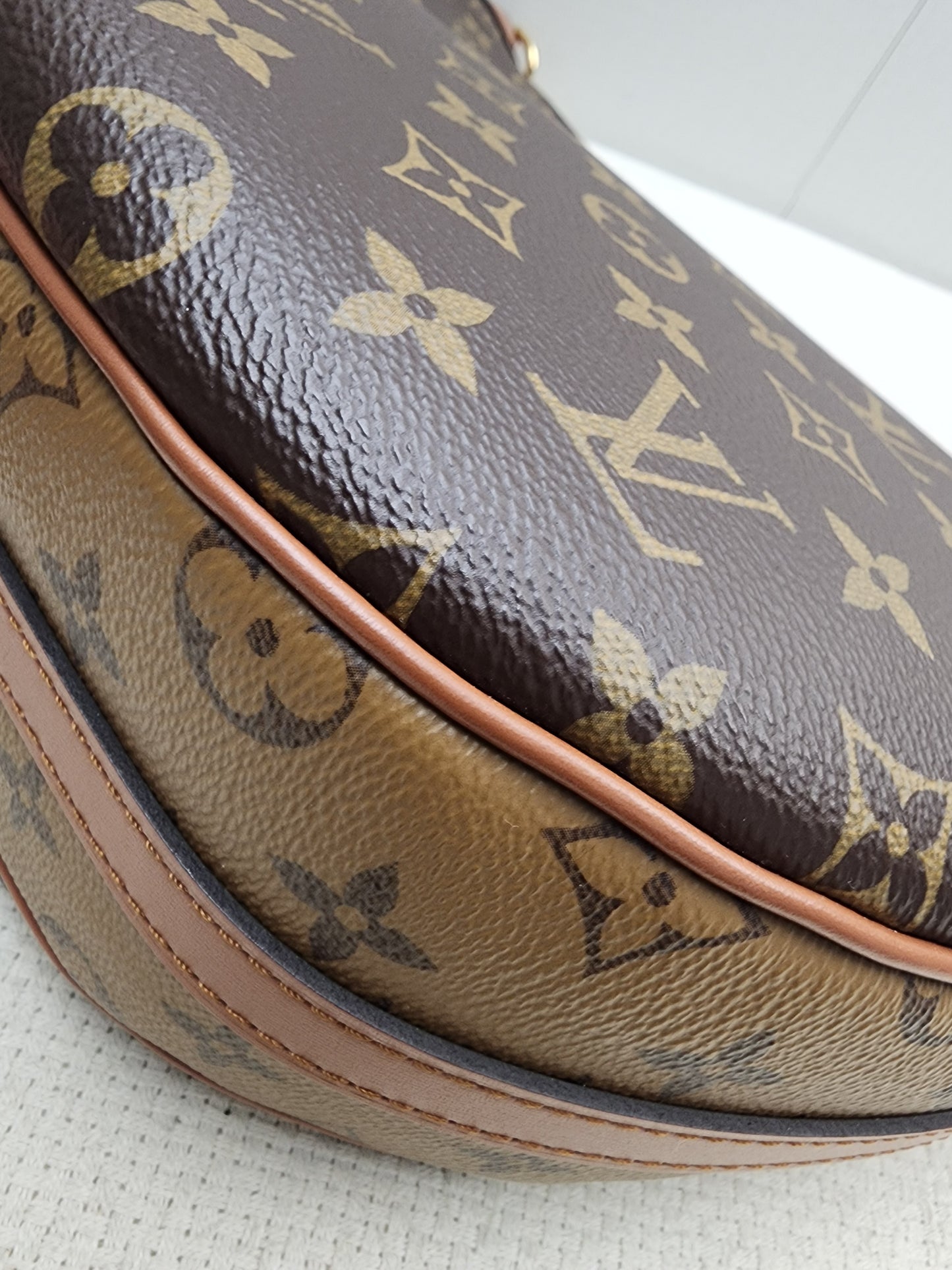 LV Monogram Loop Bag