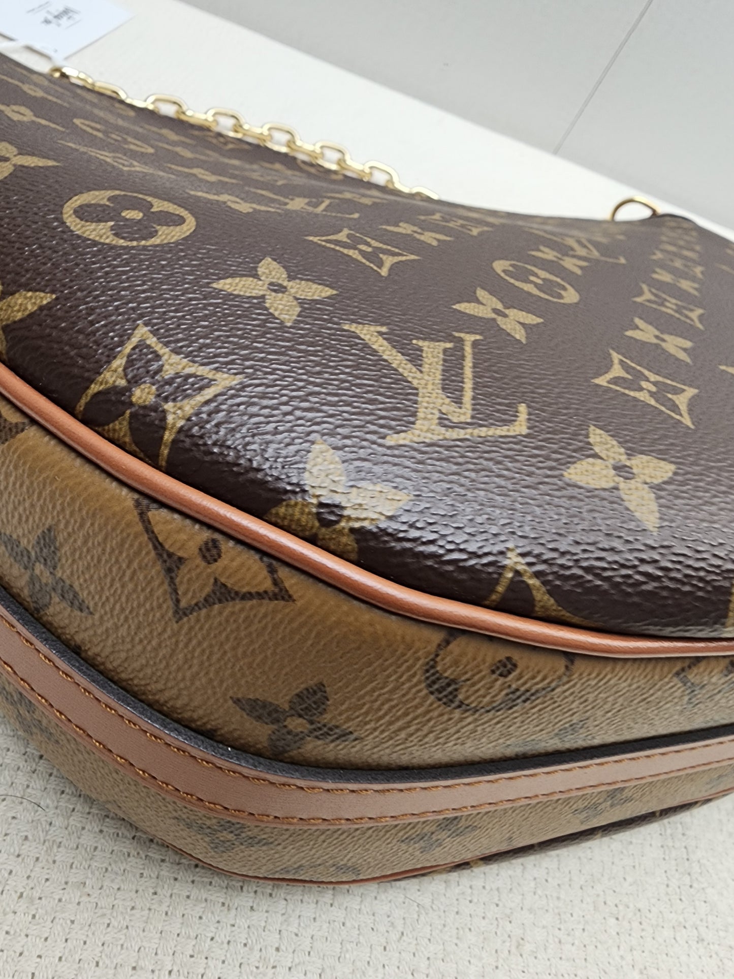 LV Monogram Loop Bag