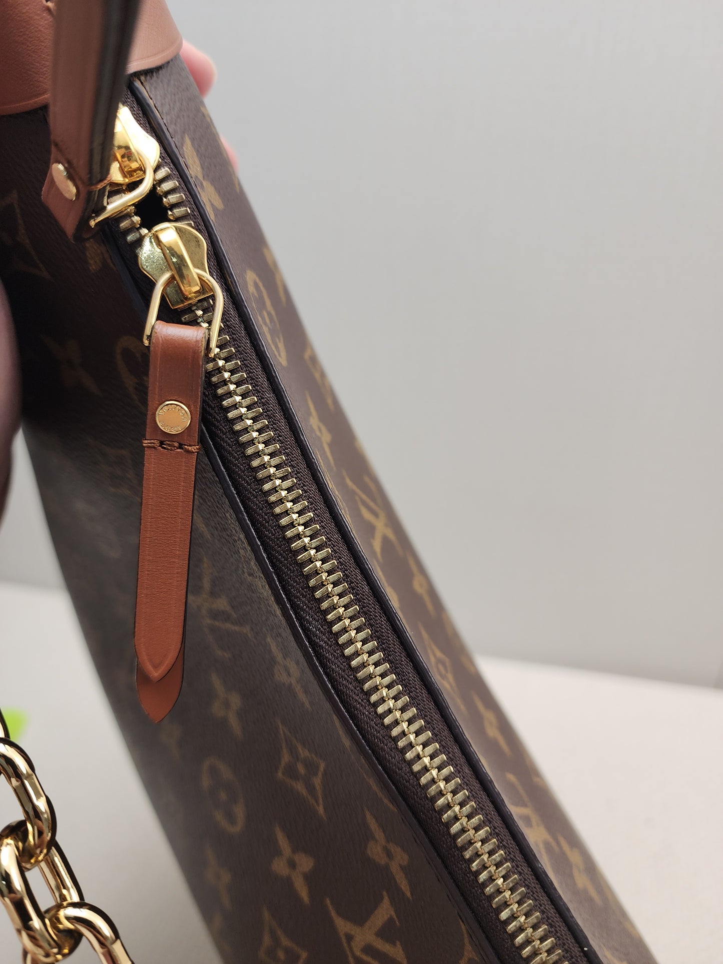 LV Monogram Loop Bag