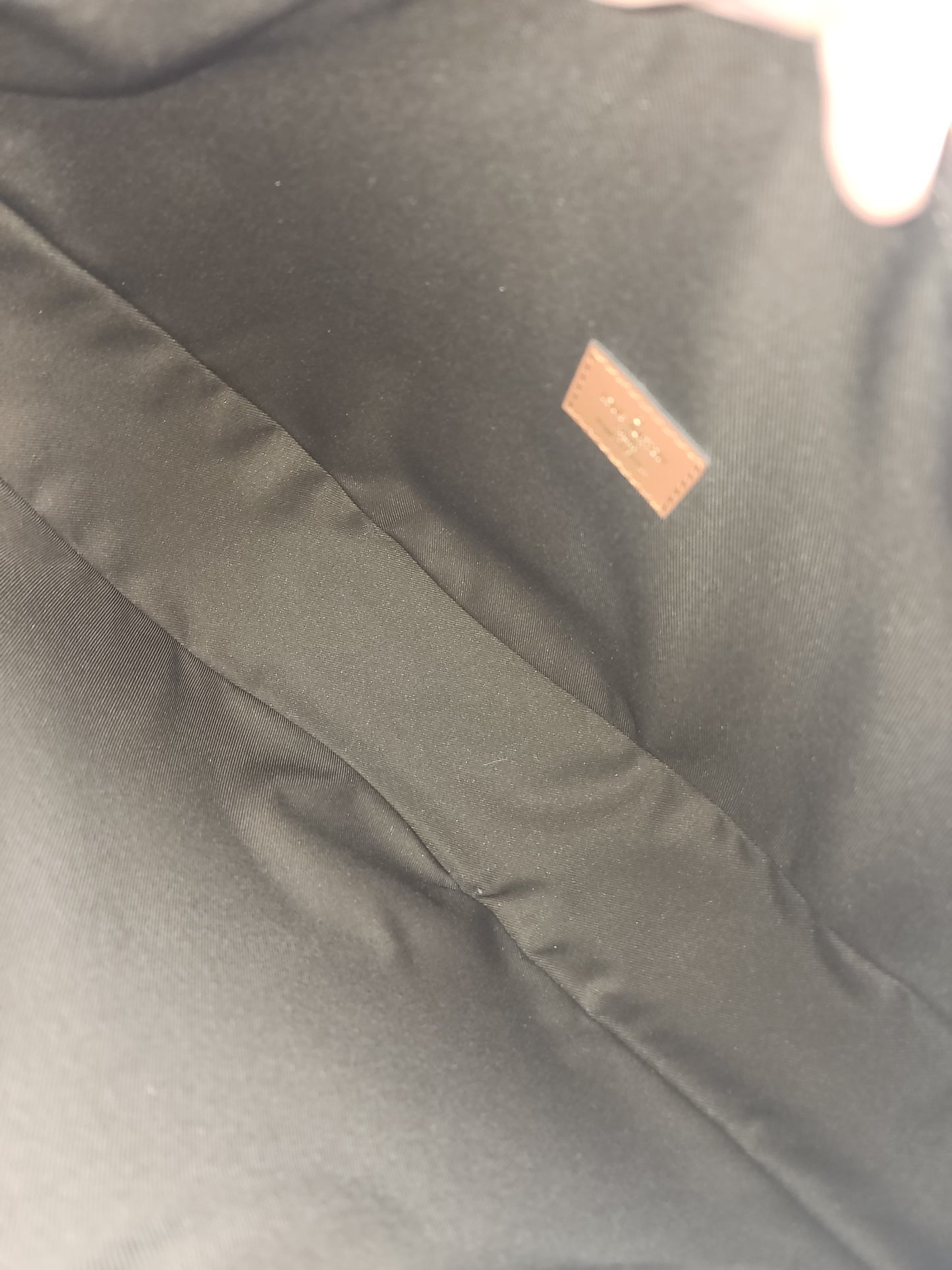 LV Monogram Loop Bag