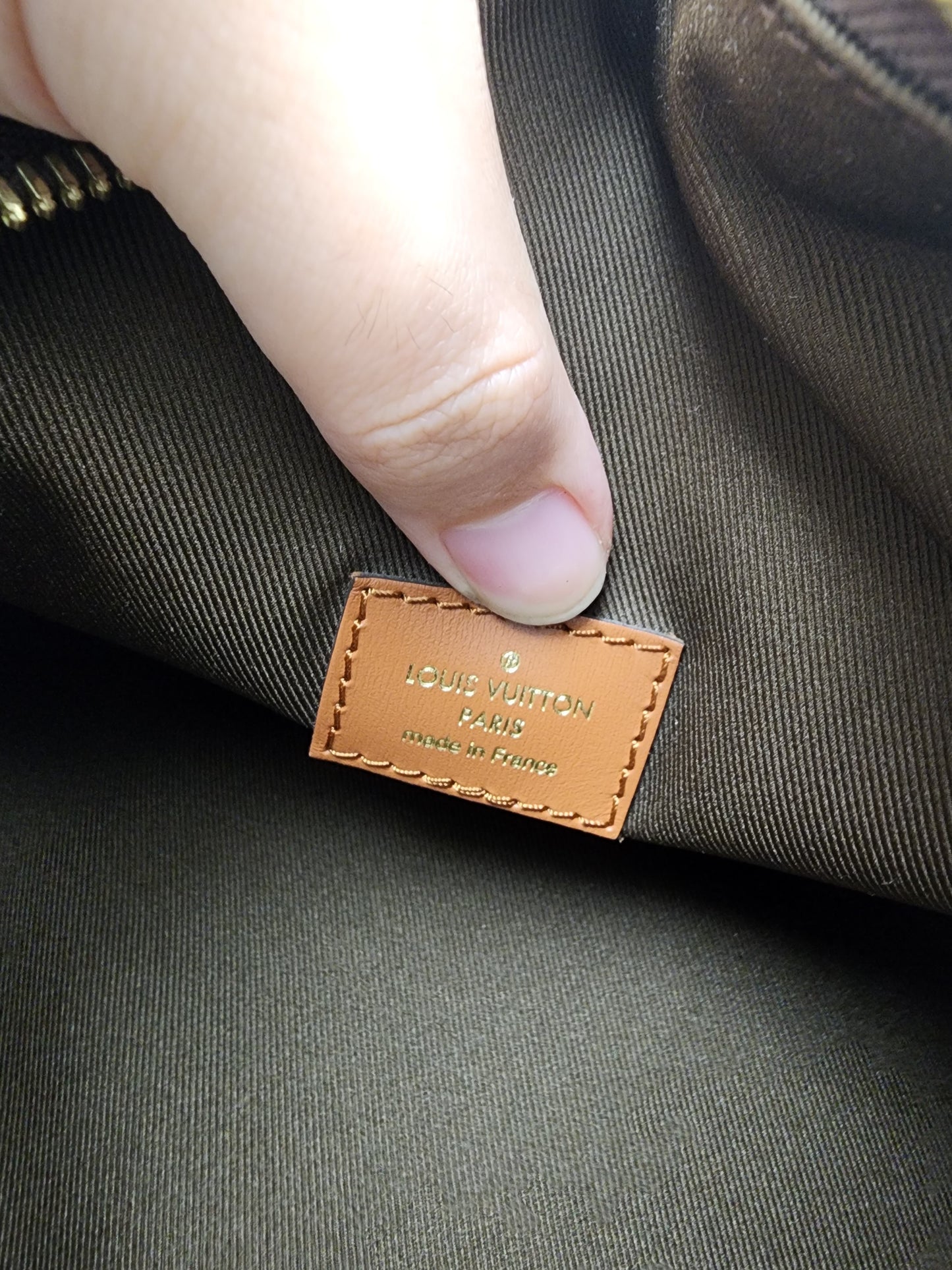 LV Monogram Loop Bag