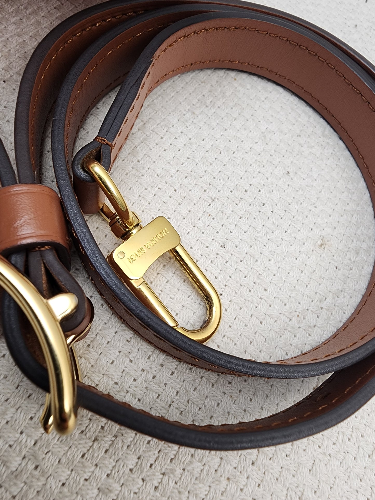 LV Monogram Loop Bag