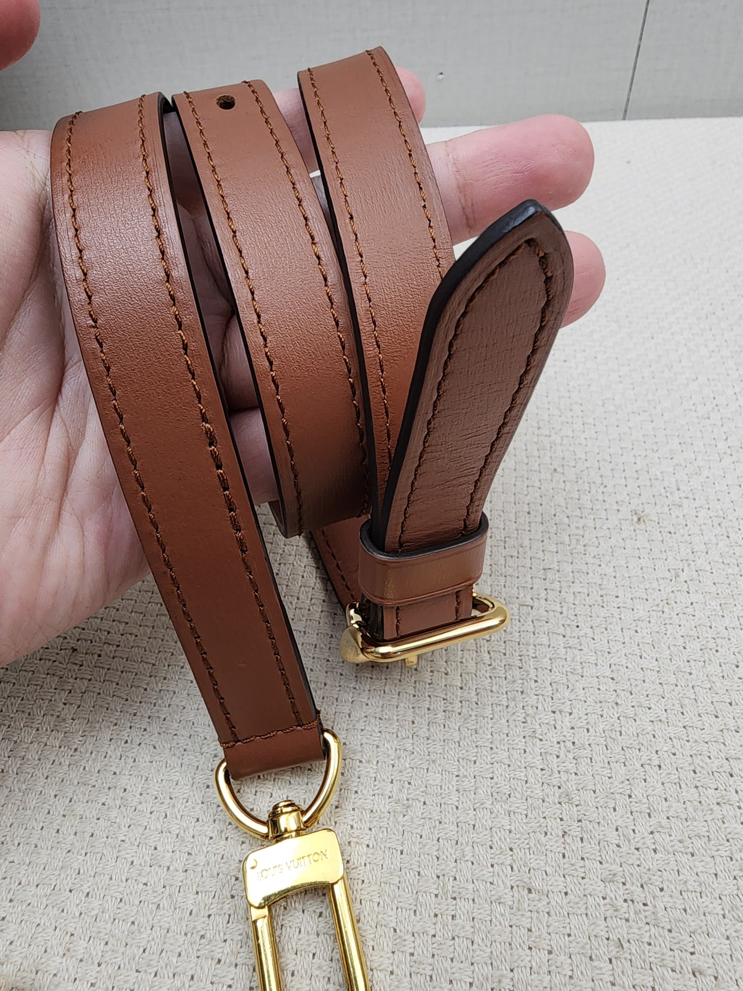 LV Monogram Loop Bag