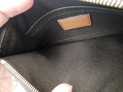 LV Monogram Loop Bag