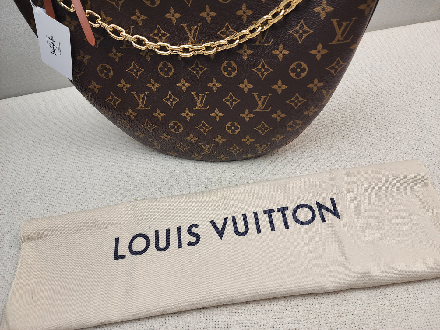 LV Monogram Loop Bag