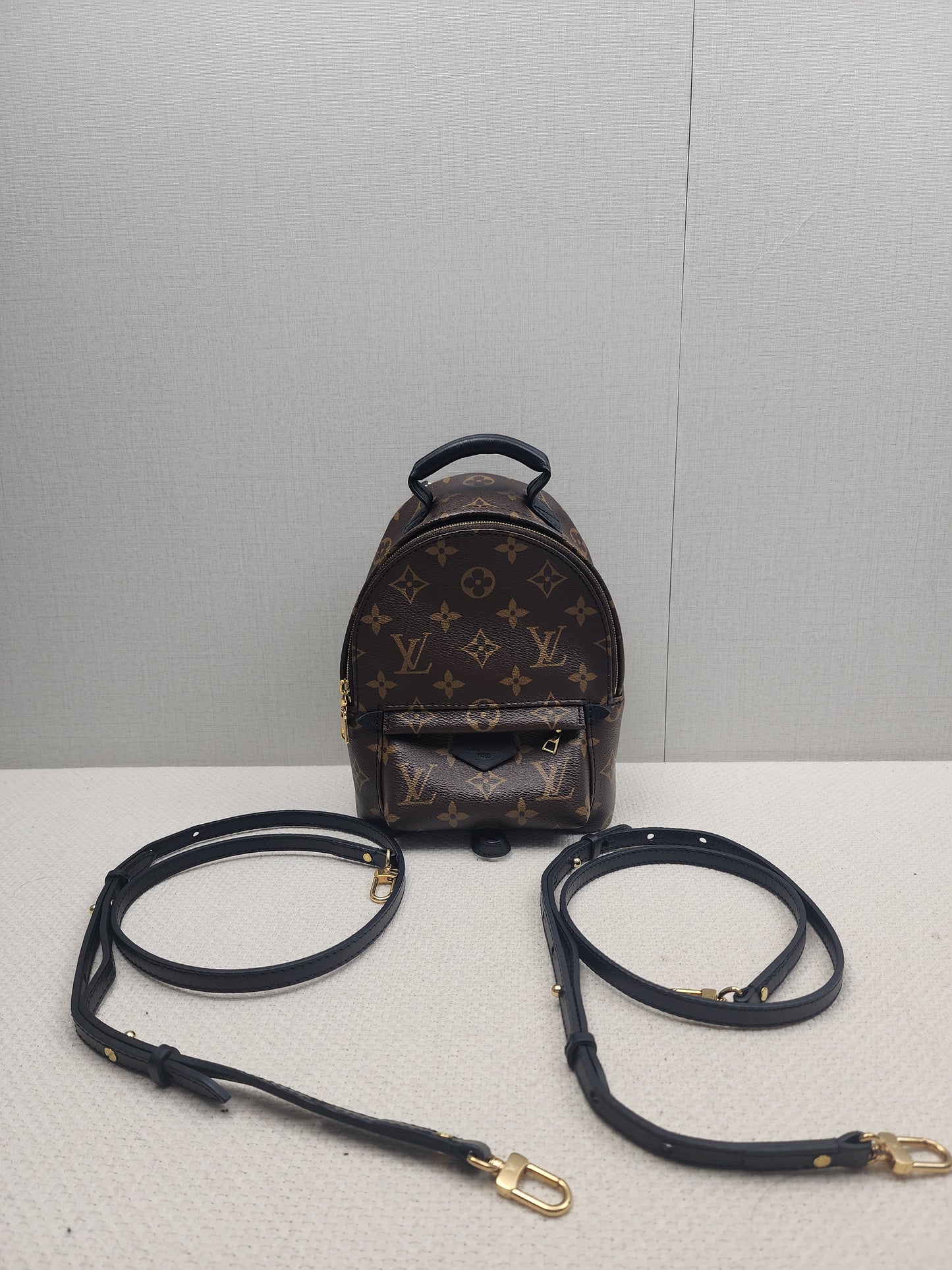 LV Monogram Mini Palm Springs