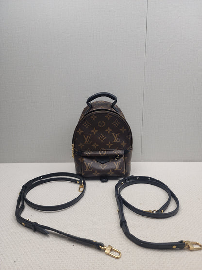 LV Monogram Mini Palm Springs