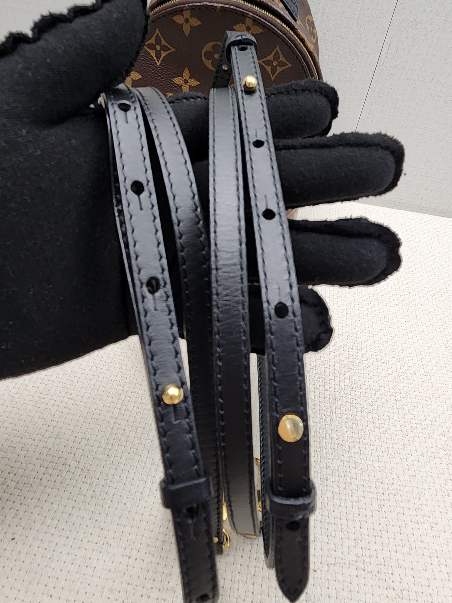 LV Monogram Mini Palm Springs