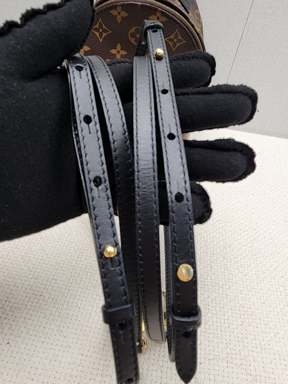 LV Monogram Mini Palm Springs