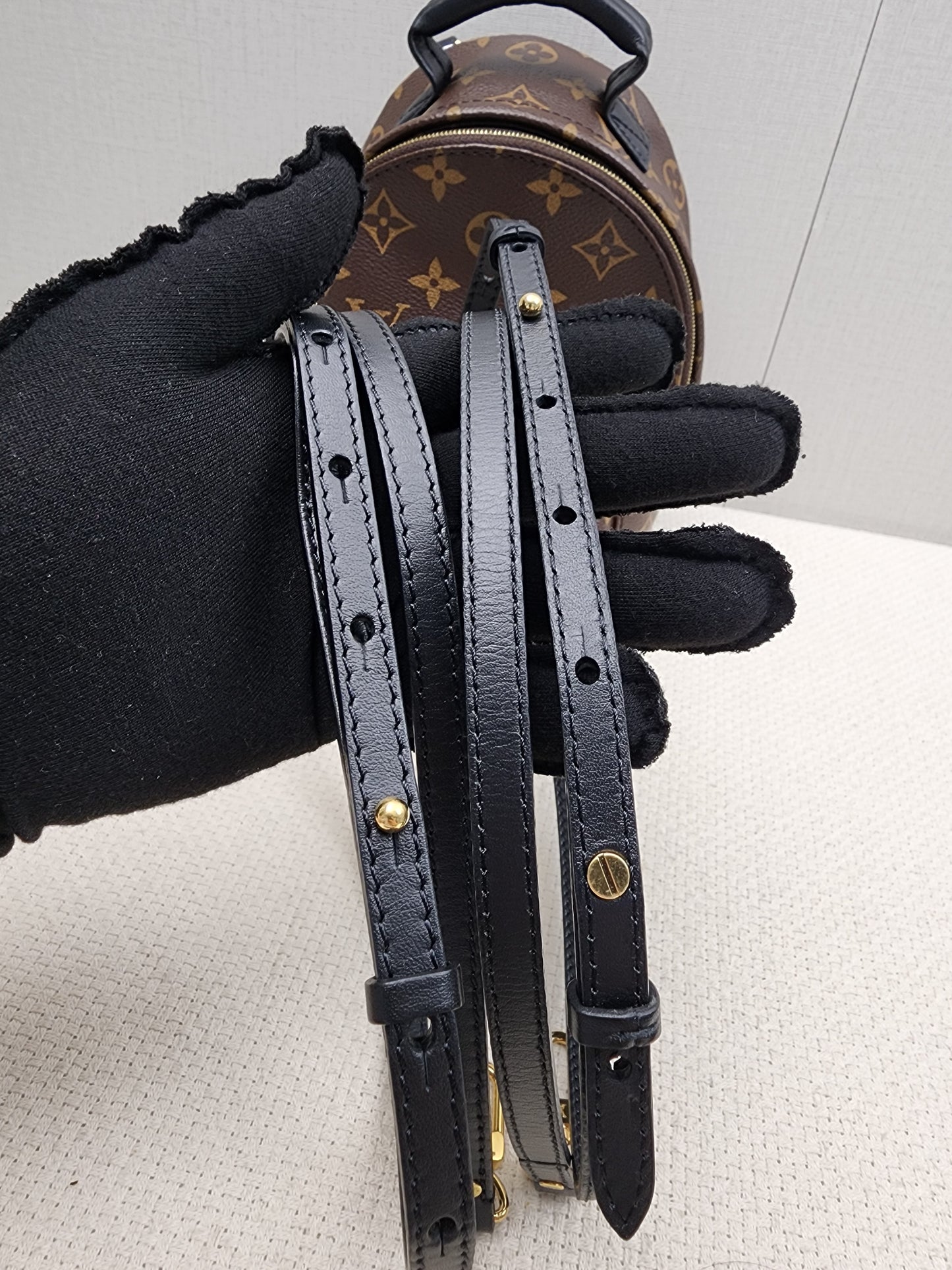 LV Monogram Mini Palm Springs