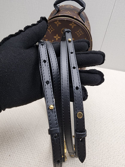 LV Monogram Mini Palm Springs