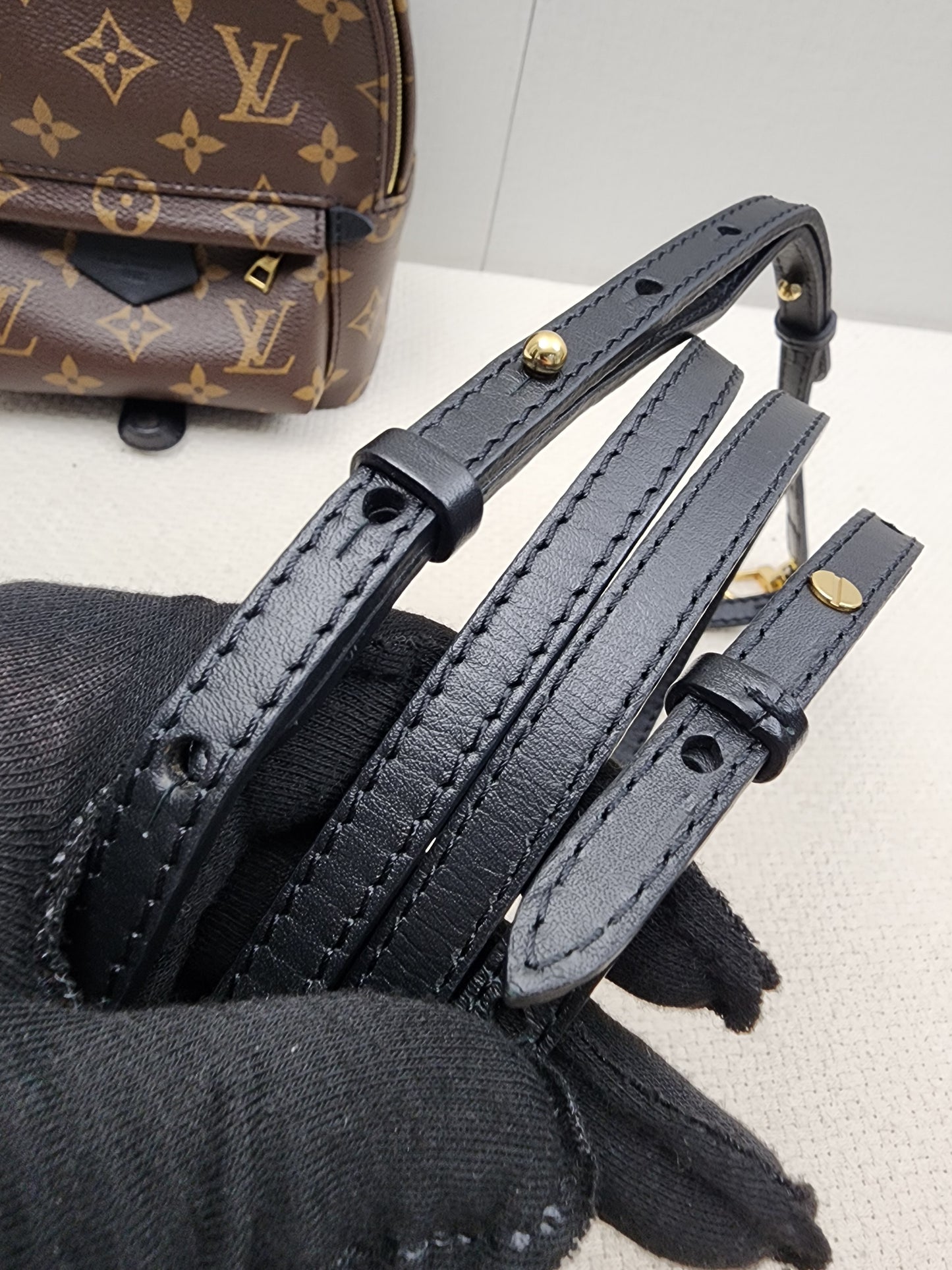 LV Monogram Mini Palm Springs