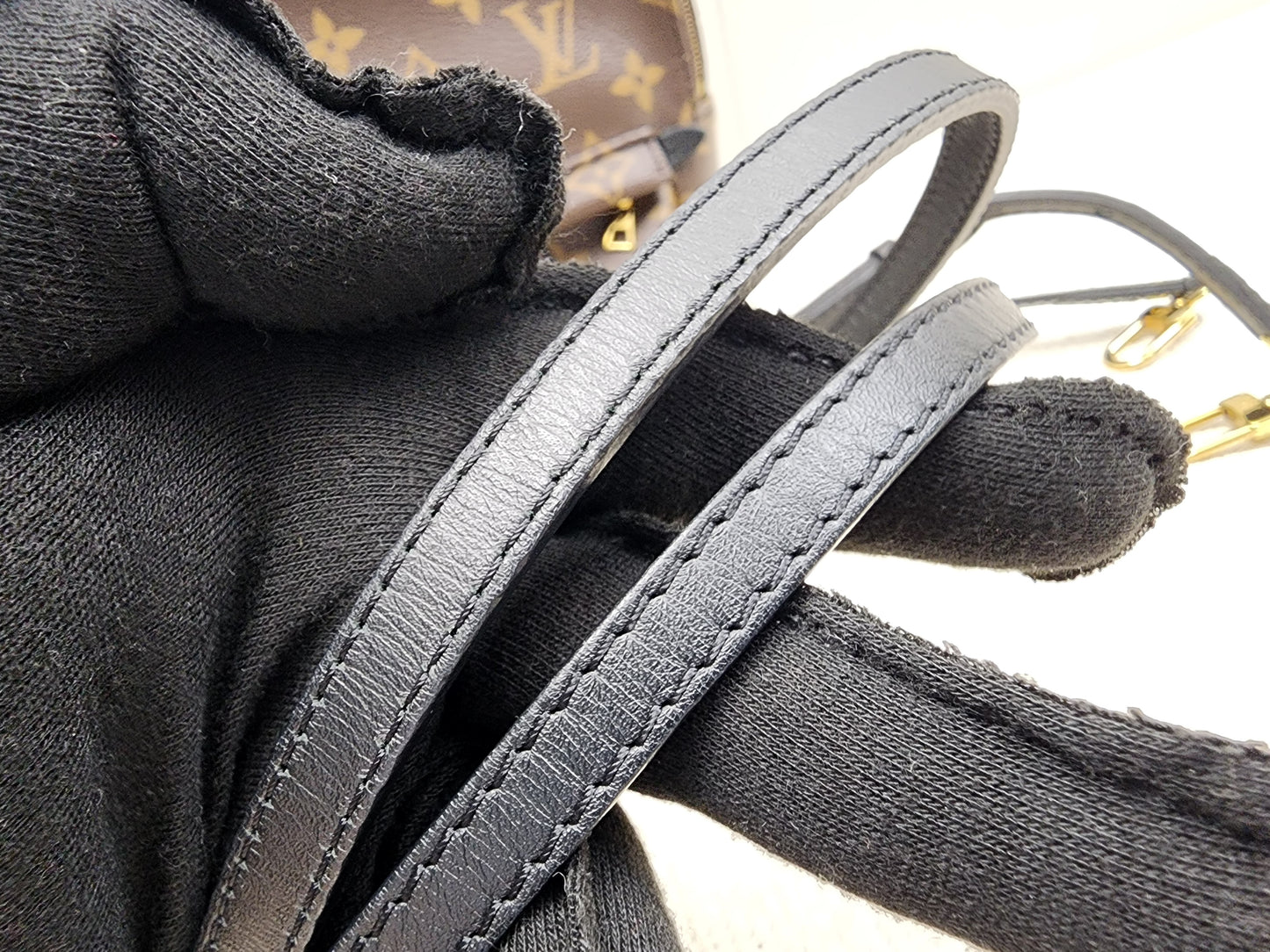 LV Monogram Mini Palm Springs