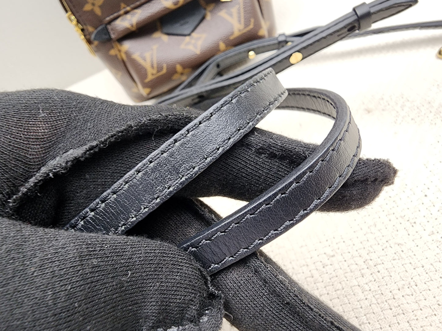LV Monogram Mini Palm Springs
