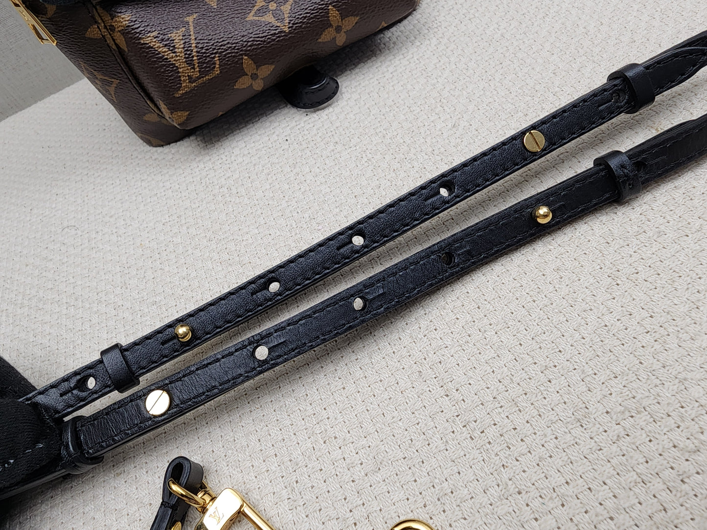 LV Monogram Mini Palm Springs
