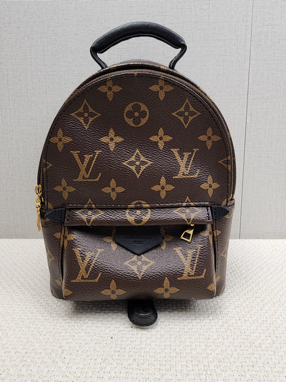 LV Monogram Mini Palm Springs