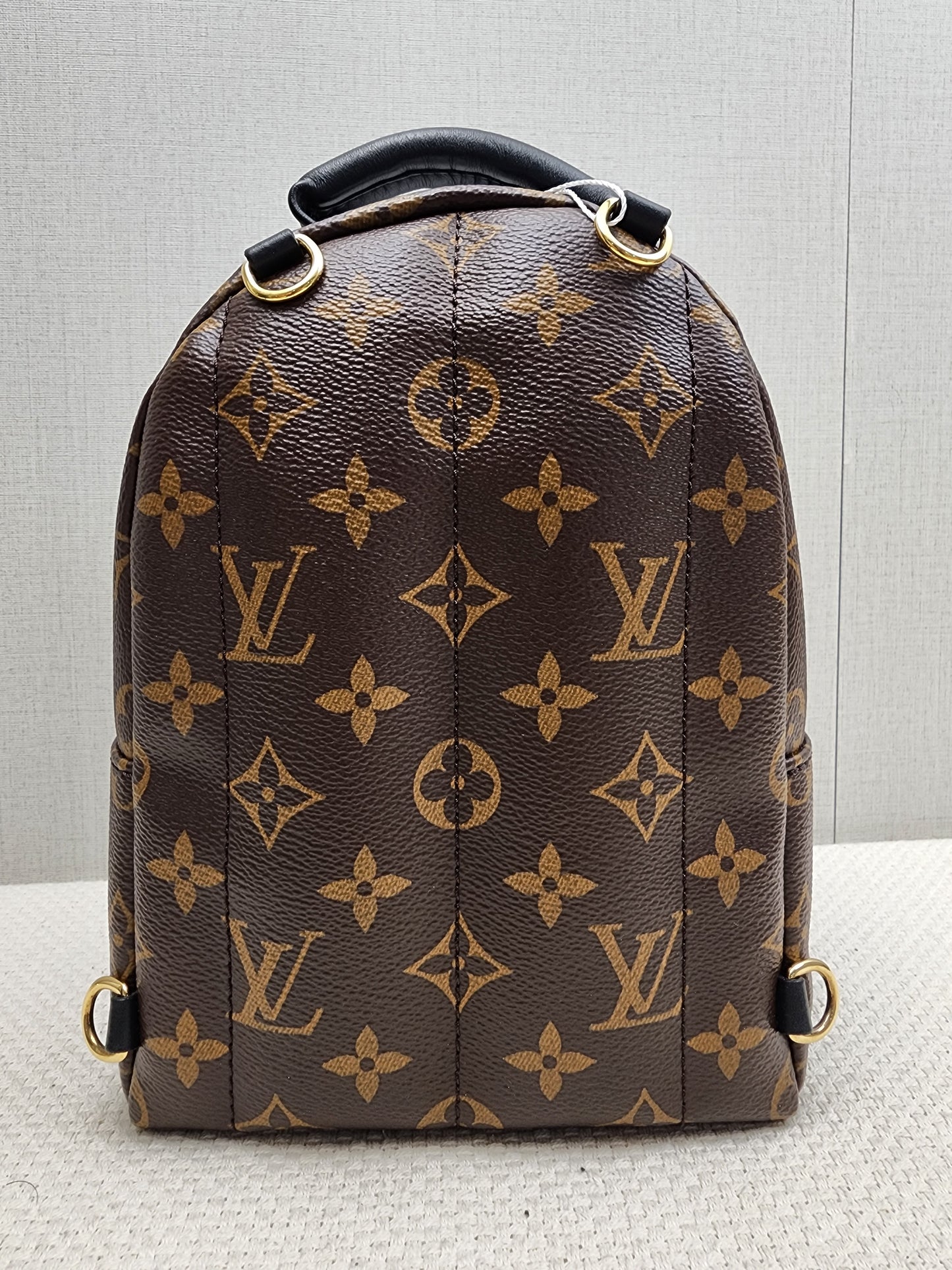 LV Monogram Mini Palm Springs