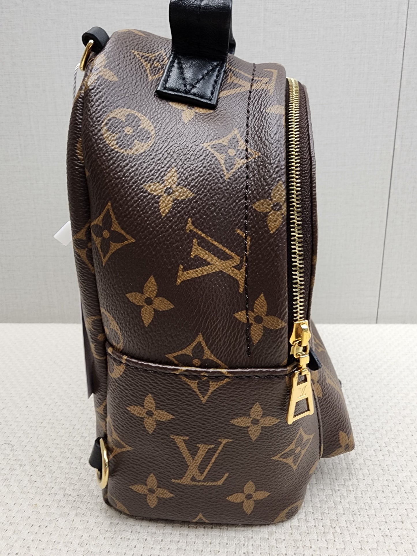 LV Monogram Mini Palm Springs