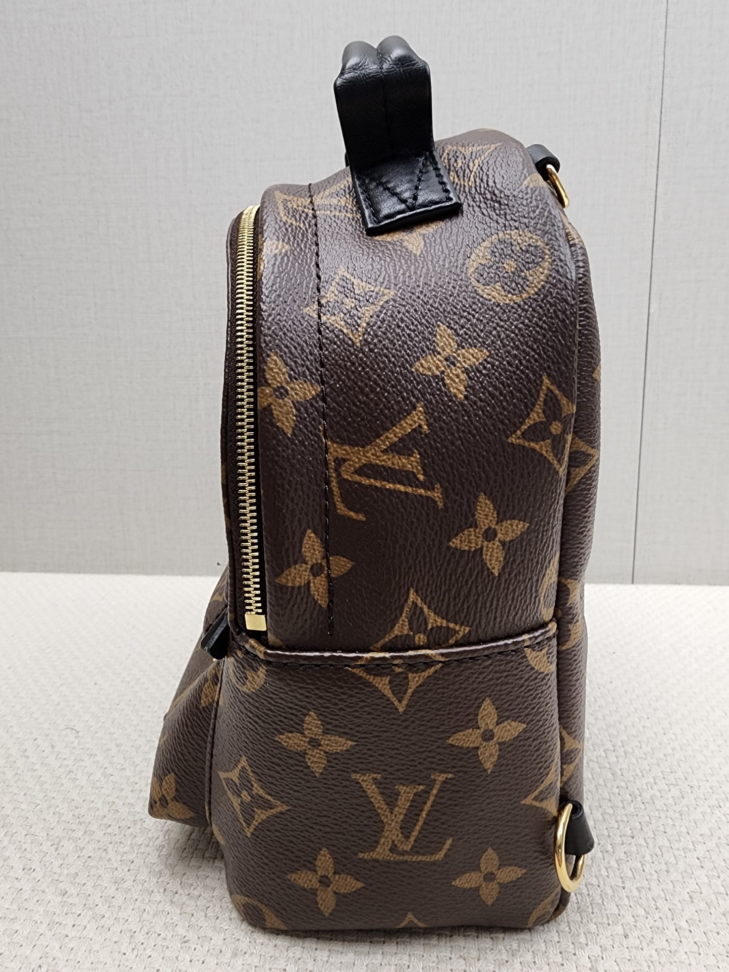 LV Monogram Mini Palm Springs