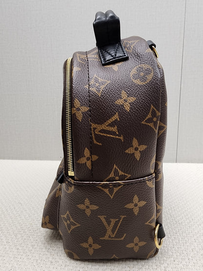LV Monogram Mini Palm Springs