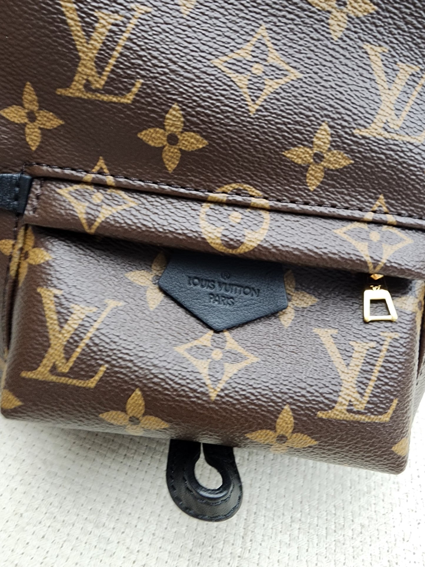LV Monogram Mini Palm Springs
