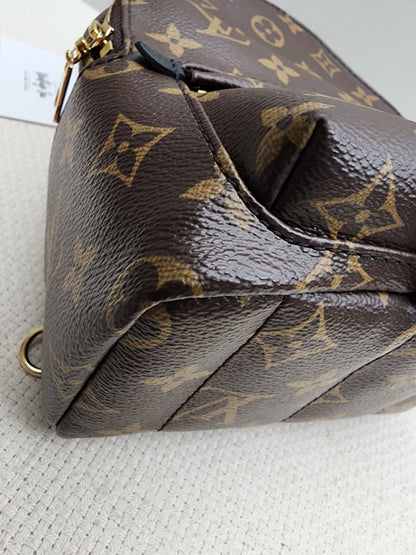 LV Monogram Mini Palm Springs