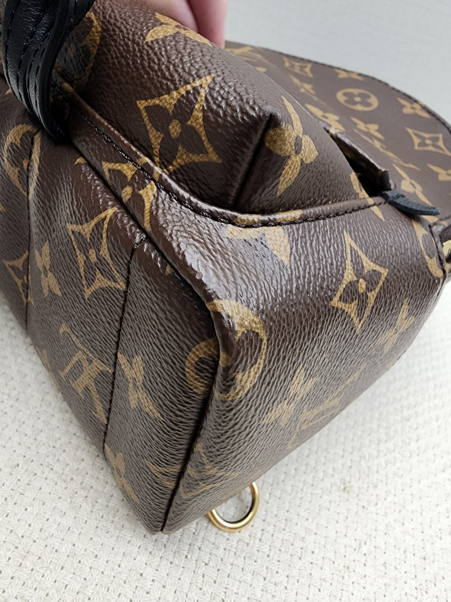 LV Monogram Mini Palm Springs