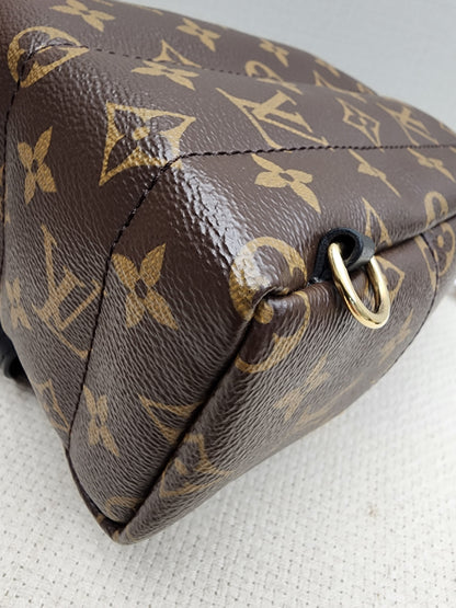 LV Monogram Mini Palm Springs
