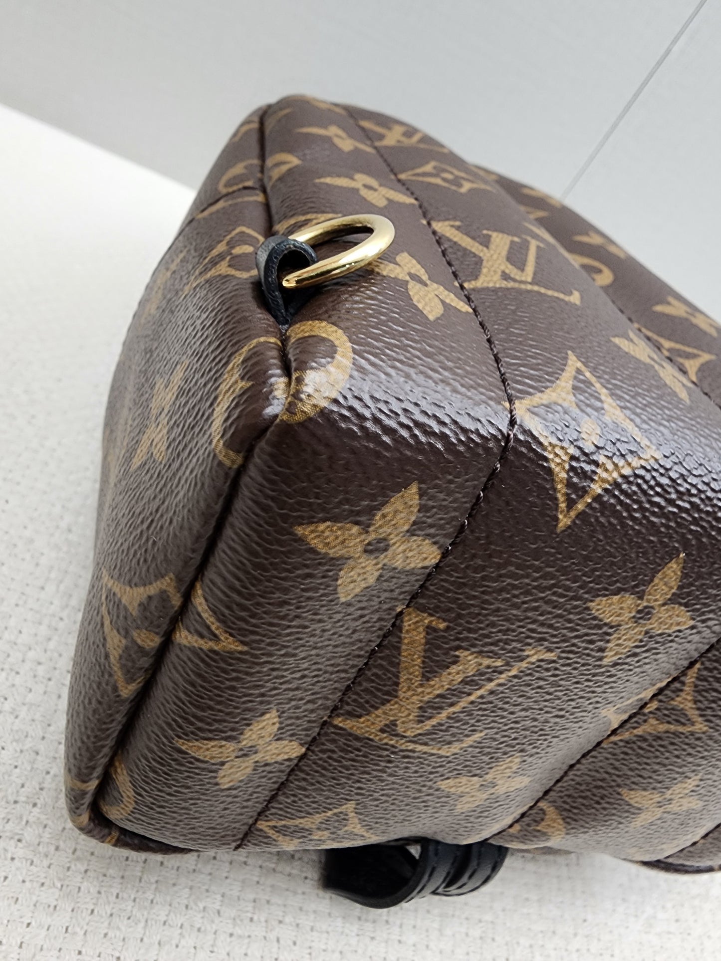 LV Monogram Mini Palm Springs