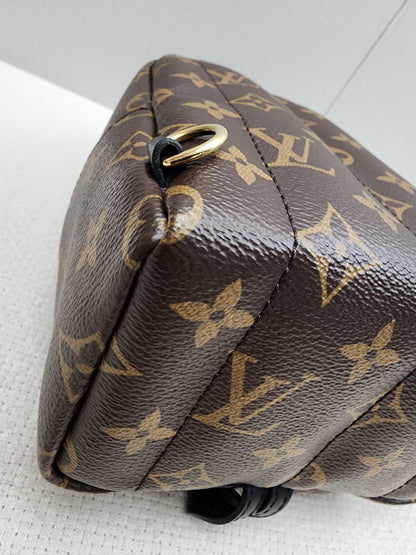 LV Monogram Mini Palm Springs