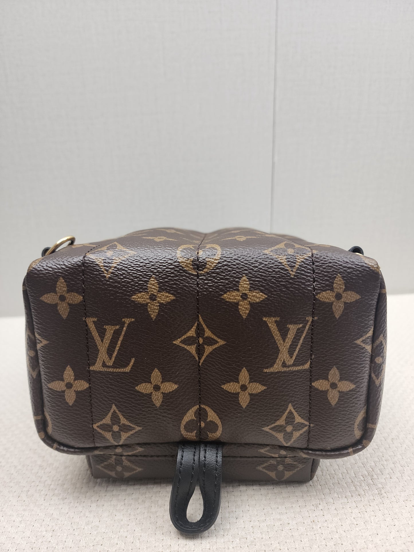 LV Monogram Mini Palm Springs