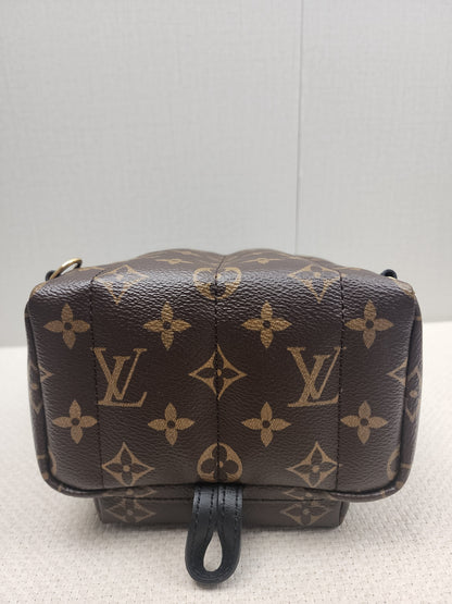 LV Monogram Mini Palm Springs