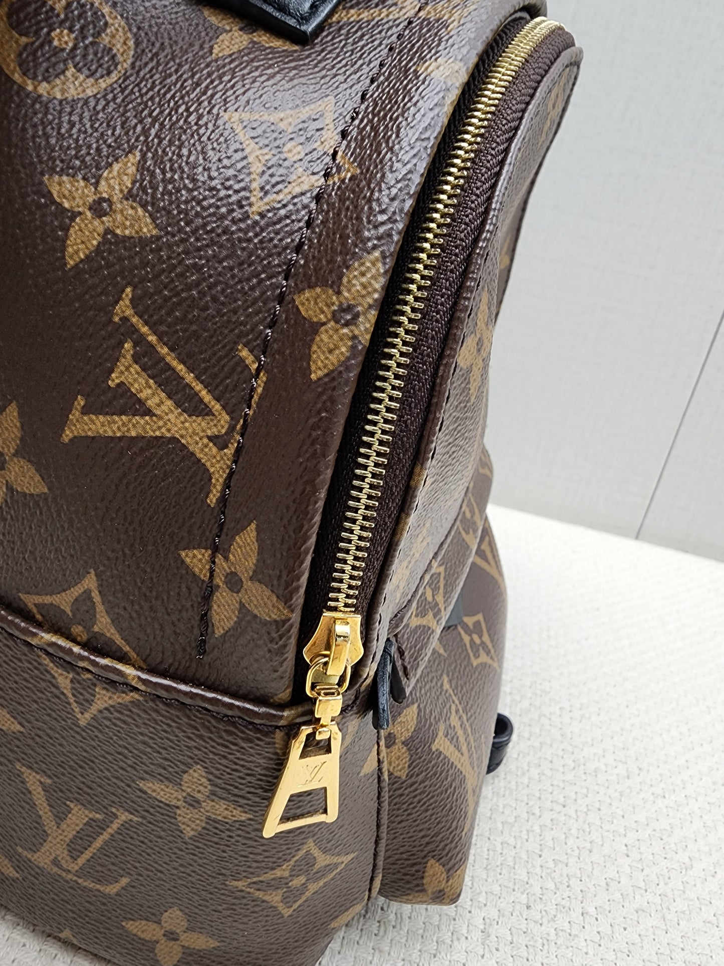 LV Monogram Mini Palm Springs