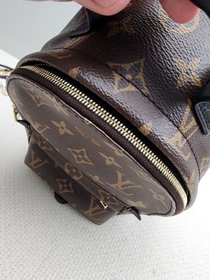 LV Monogram Mini Palm Springs